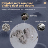 Dust Mite Vacuum